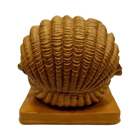 Shell Ganesh Wooden Home Décor Show Piece Size 4.5 inch