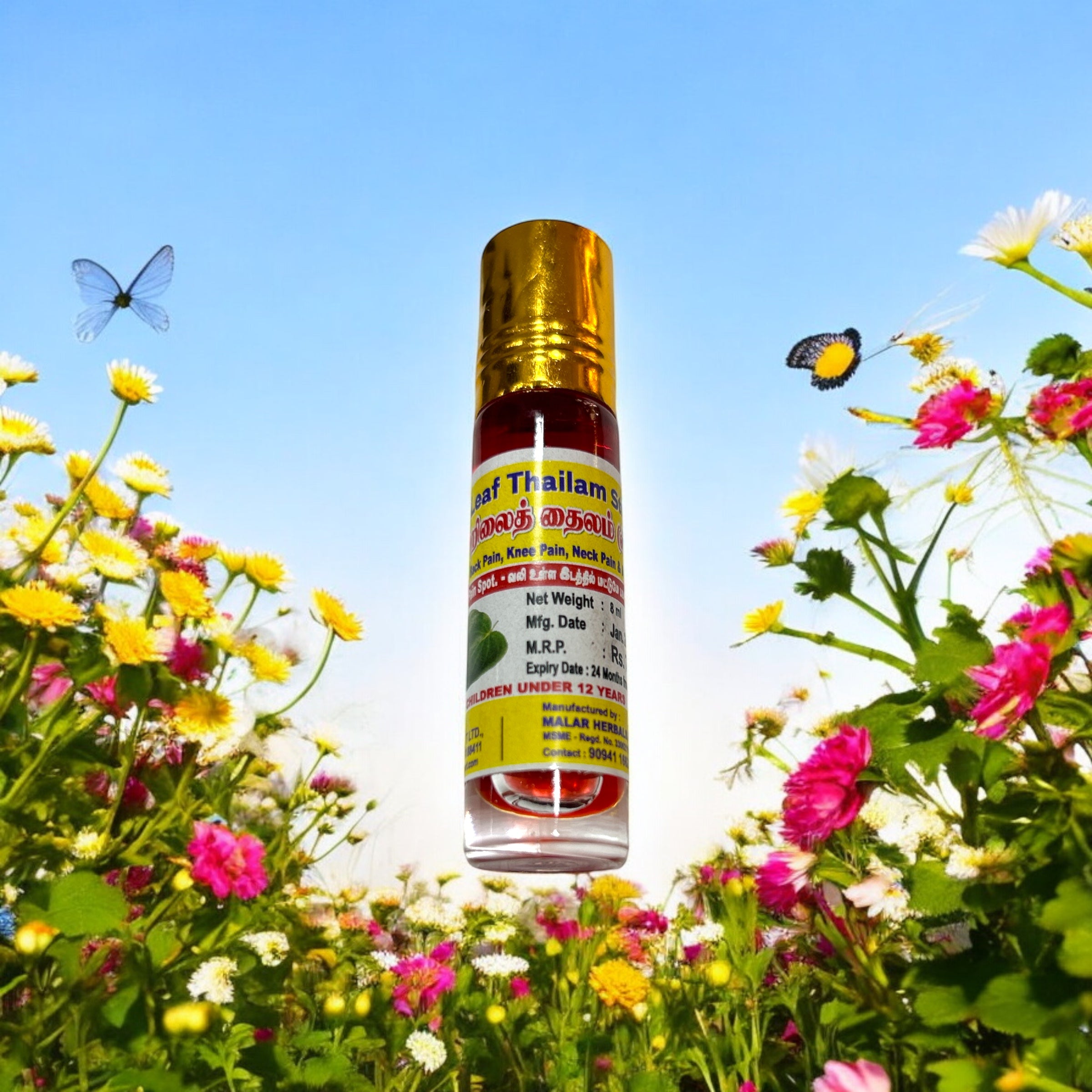 Malar Herbal Vetrilai Thailam (Betel Leaf Oil - வெற்றிலை தைலம்) 8 ml