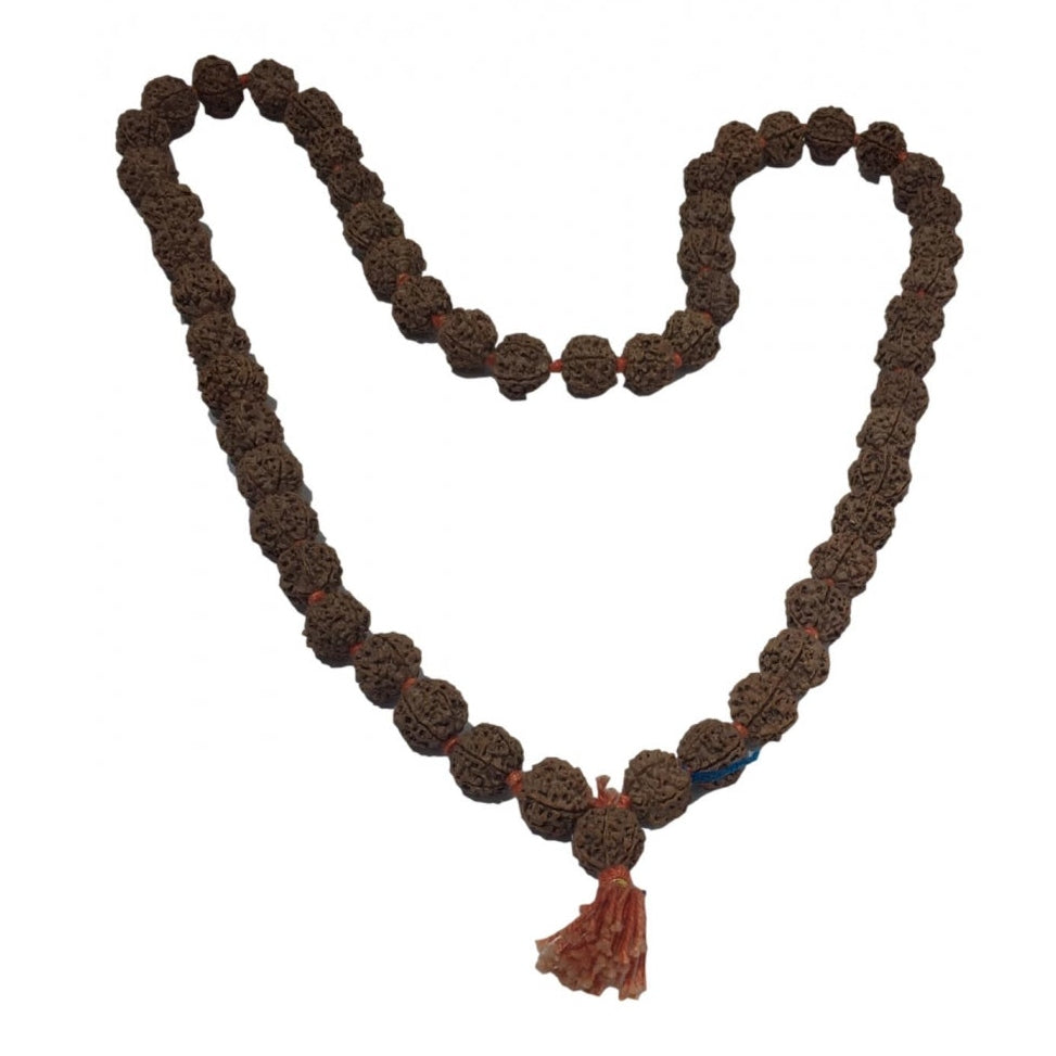 6 Mukhi Rudraksh Mala 54 Beads