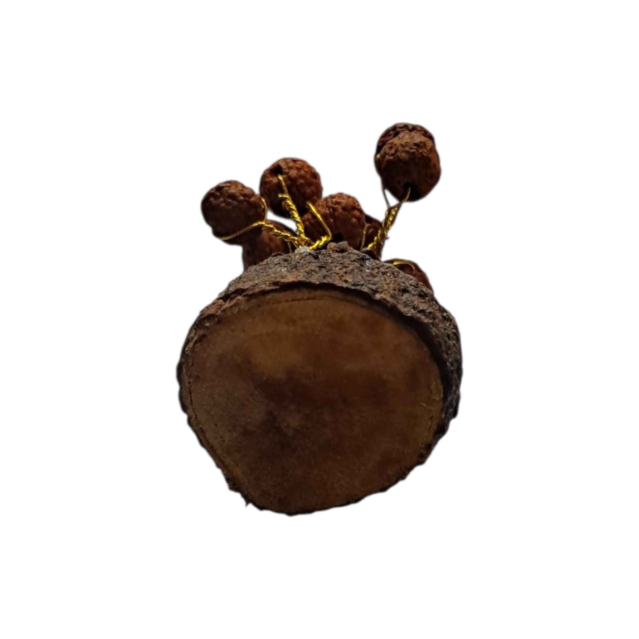 Wooden Décor Tree with Rudraksh Beads - display symbol of spiritual inspiration