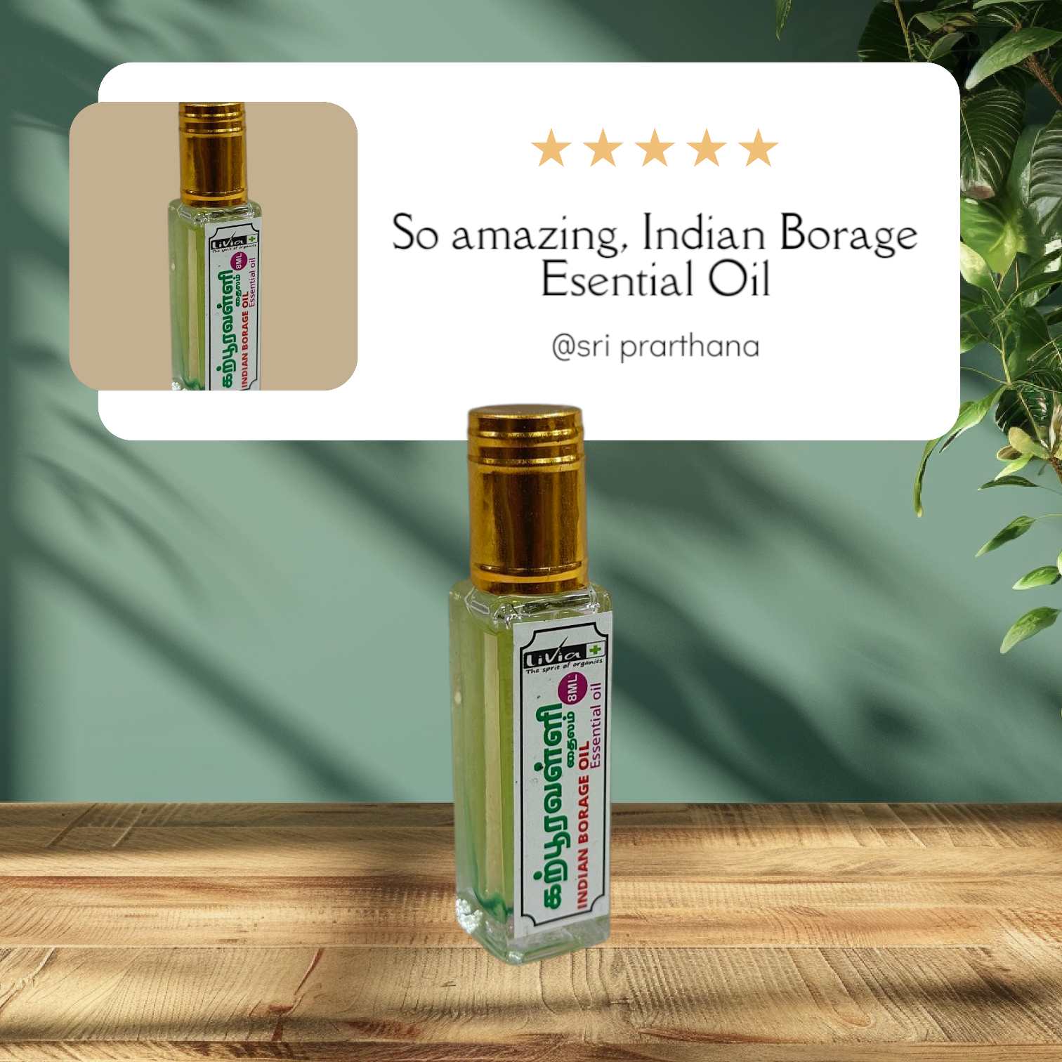 Karpooravalli Thailam  Indian Borage Oil